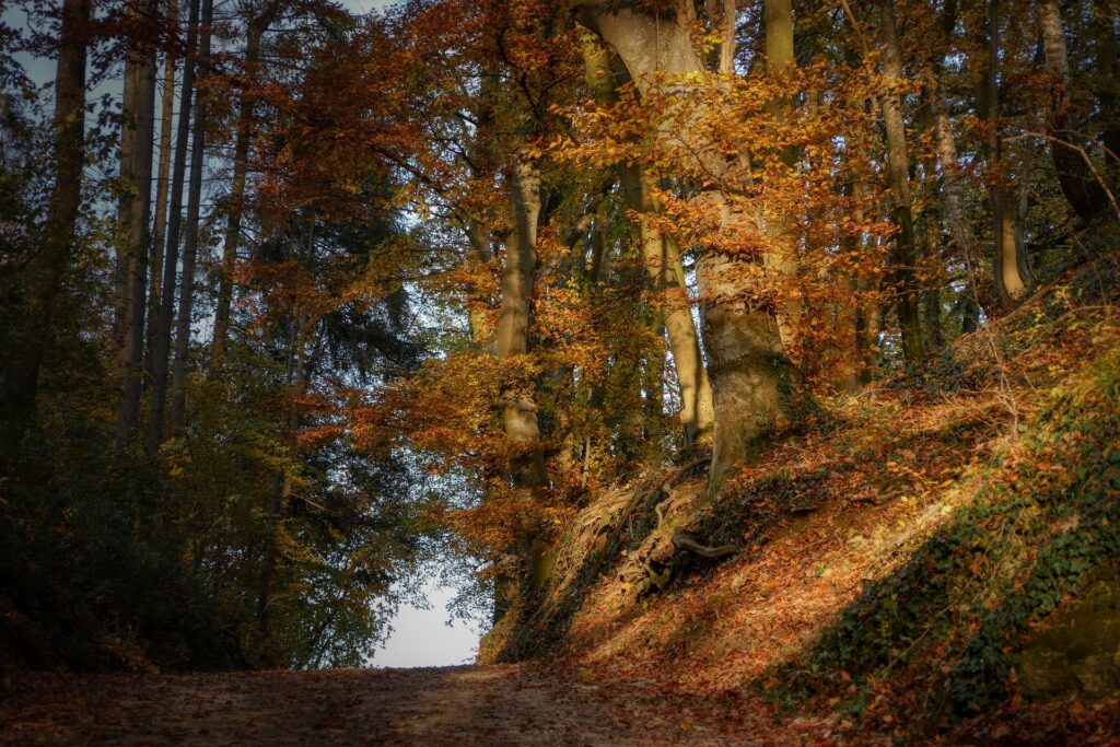 Sports & loisirs de pleine nature